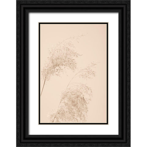 Reed Grass Beige 06 Black Ornate Wood Framed Art Print with Double Matting by 1x Studio III