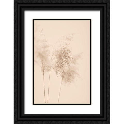 Reed Grass Beige 09 Black Ornate Wood Framed Art Print with Double Matting by 1x Studio III
