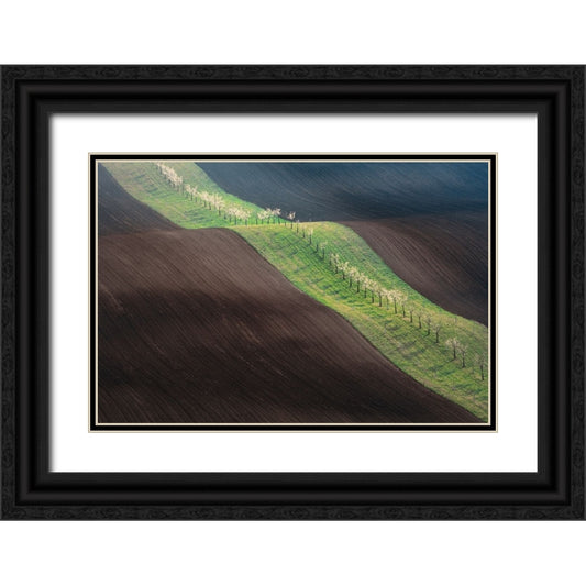 Perspective Image