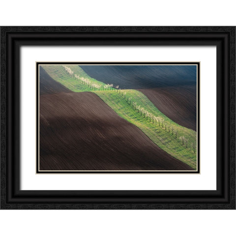 From Left To Right Black Ornate Wood Framed Art Print with Double Matting by Kovar, Petr