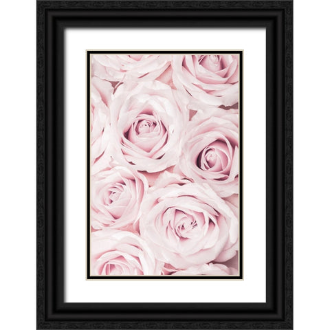 Pink Roses No 02 Black Ornate Wood Framed Art Print with Double Matting by 1x Studio III