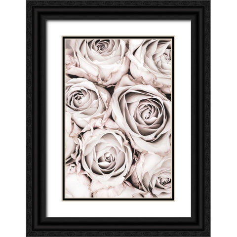 Grey Roses No 01 Black Ornate Wood Framed Art Print with Double Matting by 1x Studio III