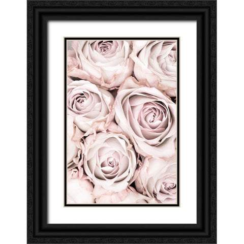 Pink Roses No 01 Black Ornate Wood Framed Art Print with Double Matting by 1x Studio III
