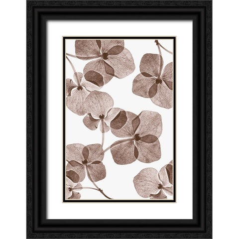 Botanical 4 Black Ornate Wood Framed Art Print with Double Matting by Lenka