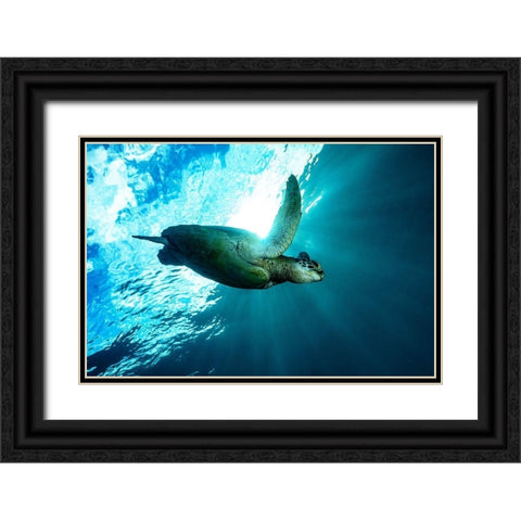 Into The Light Black Ornate Wood Framed Art Print with Double Matting by Melesan, Serge