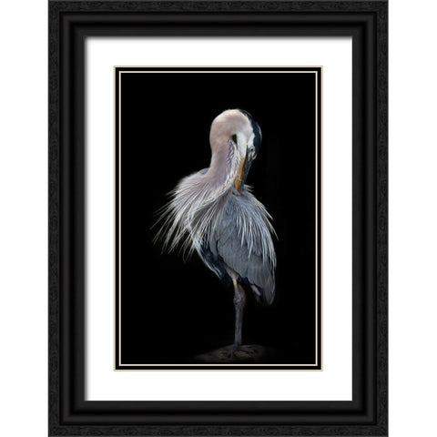 The Elegant Great Blue Heron Black Ornate Wood Framed Art Print with Double Matting by D Lester, Linda