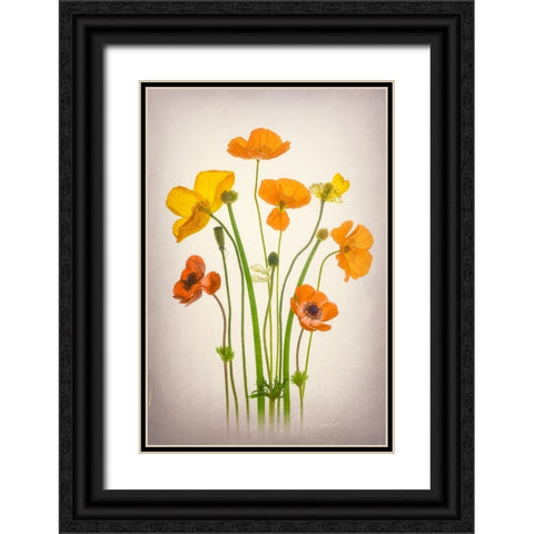 Delightful Poppies Black Ornate Wood Framed Art Print with Double Matting by Jacobs, Lydia
