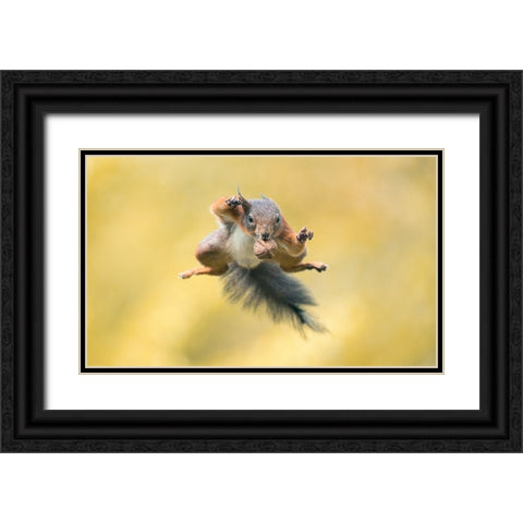 Ninja Style Black Ornate Wood Framed Art Print with Double Matting by Colemont, Niki