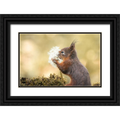 Make Wish Black Ornate Wood Framed Art Print with Double Matting by Colemont, Niki