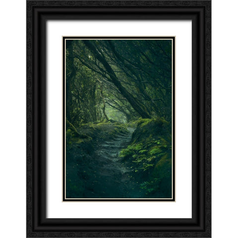 Entering Fangorn Black Ornate Wood Framed Art Print with Double Matting by De La, Javier