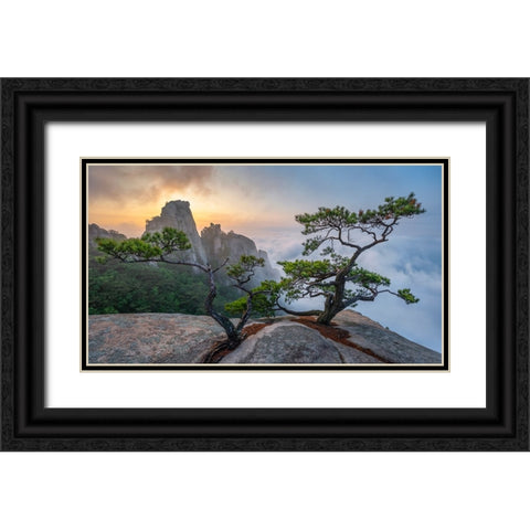 Dancing Trees Of Eden Black Ornate Wood Framed Art Print with Double Matting by Ryu, Jaeyoun