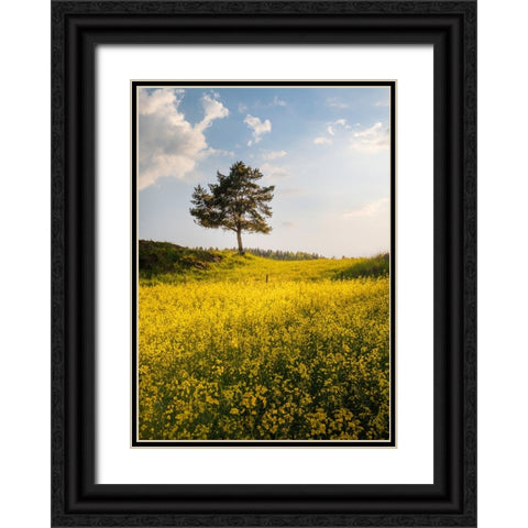 King Of The Hill Black Ornate Wood Framed Art Print with Double Matting by Lindsten, Christian