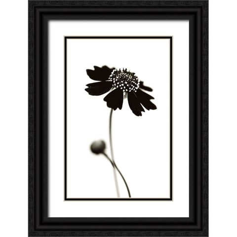 Once I Was A Black. Black Ornate Wood Framed Art Print with Double Matting by Salem, Saad