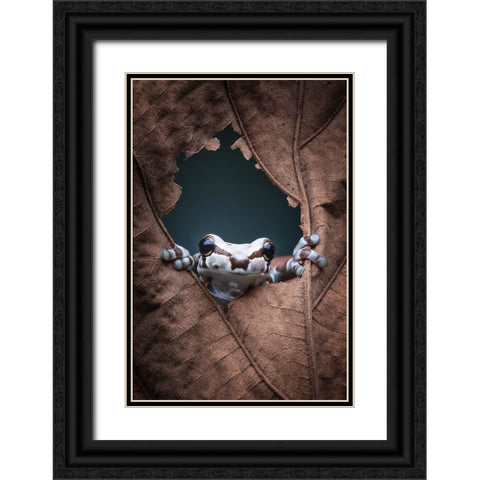 hello... Black Ornate Wood Framed Art Print with Double Matting by Widyantini, Rini