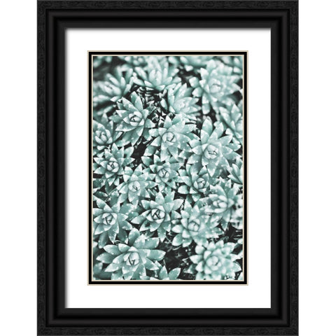 Plant Black Ornate Wood Framed Art Print with Double Matting by 1x Studio III