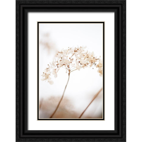 Soft Dried Flower_Brown Black Ornate Wood Framed Art Print with Double Matting by 1x Studio III