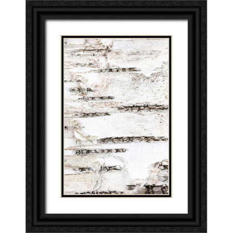 Tree bark_1 Black Ornate Wood Framed Art Print with Double Matting by 1x Studio III