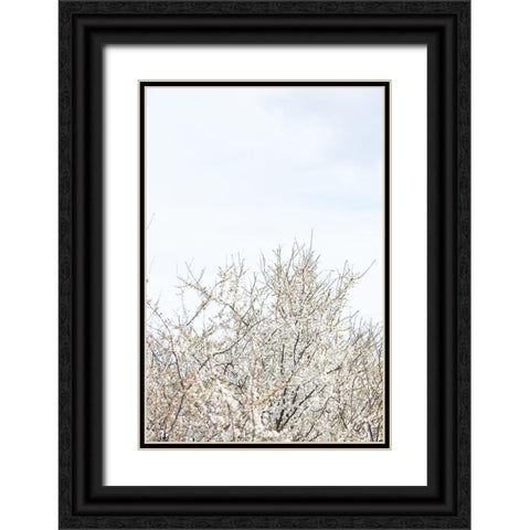 Cherry tree_1 Black Ornate Wood Framed Art Print with Double Matting by 1x Studio III