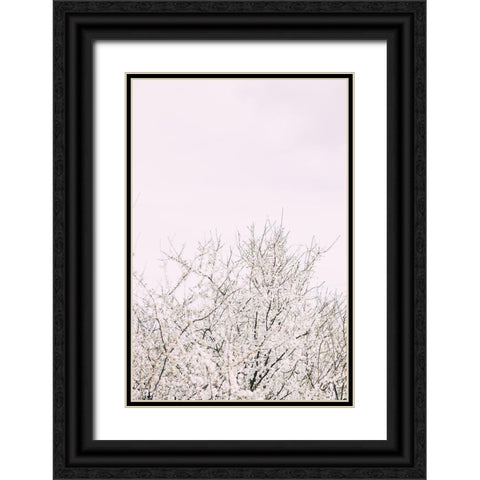 Cherry tree_2 Black Ornate Wood Framed Art Print with Double Matting by 1x Studio III