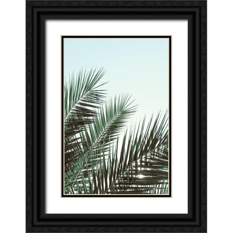 Palm leaves-sky_1 Black Ornate Wood Framed Art Print with Double Matting by 1x Studio III