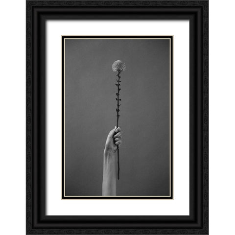 Golden-Daisy Black Ornate Wood Framed Art Print with Double Matting by Frolova, Antonida