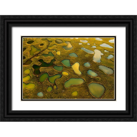 Aerial Abstract Of Small Lakes Black Ornate Wood Framed Art Print with Double Matting by Bian, James