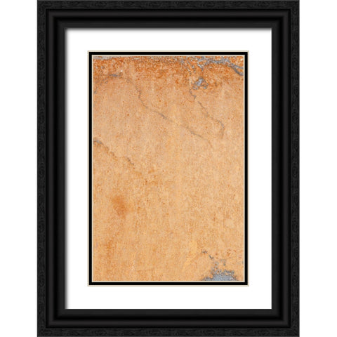 Orange wall Black Ornate Wood Framed Art Print with Double Matting by 1x Studio III