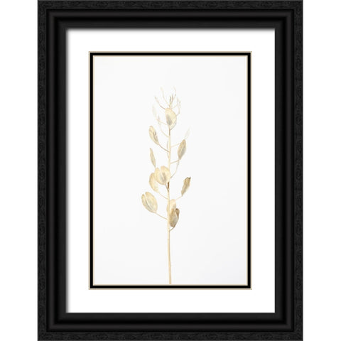 Solitary dried plant_light grey Black Ornate Wood Framed Art Print with Double Matting by 1x Studio III