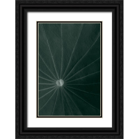 Dark green leaf Black Ornate Wood Framed Art Print with Double Matting by 1x Studio III