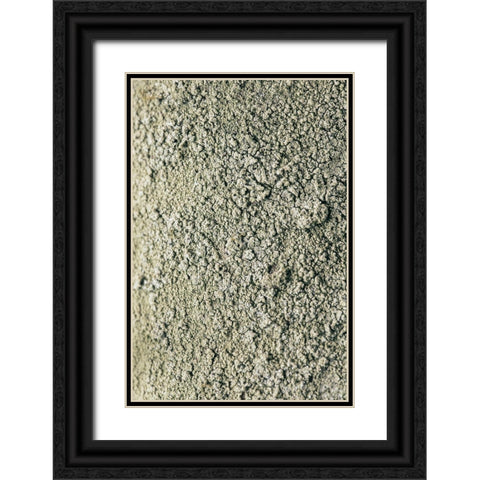 Moss Black Ornate Wood Framed Art Print with Double Matting by 1x Studio III