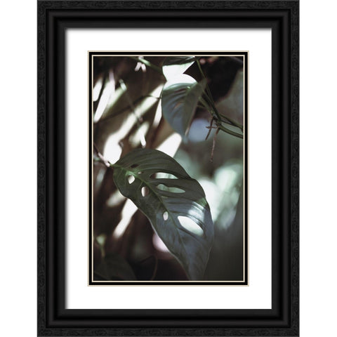 Monstrea Leaves Nature_1 Black Ornate Wood Framed Art Print with Double Matting by 1x Studio III