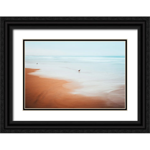 The Beach Black Ornate Wood Framed Art Print with Double Matting by Lichtbildidealisten