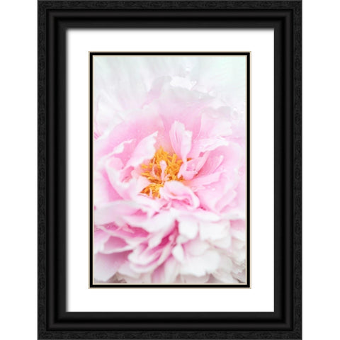 Peony_6 Black Ornate Wood Framed Art Print with Double Matting by 1x Studio III