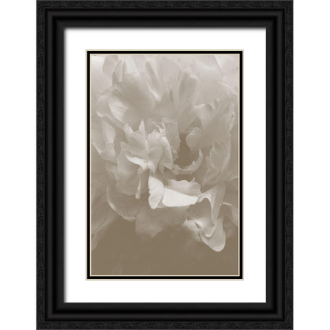 Peony_9 Black Ornate Wood Framed Art Print with Double Matting by 1x Studio III