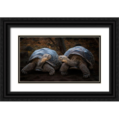 Connection Black Ornate Wood Framed Art Print with Double Matting by And Wei, Siyu