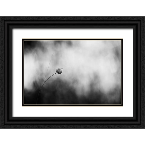 Flax After Flowering Black Ornate Wood Framed Art Print with Double Matting by Gronkjar, Lotte