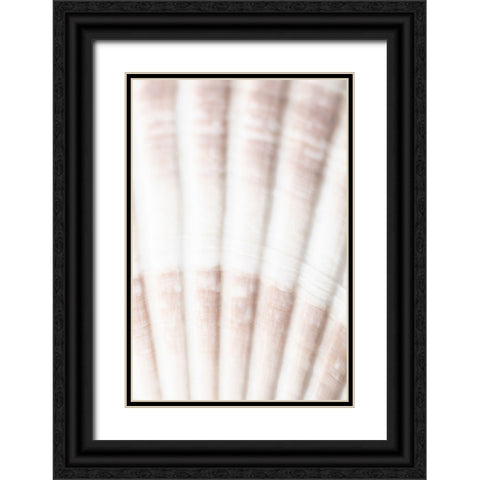 Shell_2 Black Ornate Wood Framed Art Print with Double Matting by 1x Studio III
