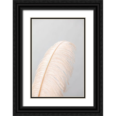 Feather_1 Black Ornate Wood Framed Art Print with Double Matting by 1x Studio III
