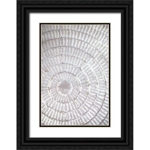 Patternplate_Grey_1 Black Ornate Wood Framed Art Print with Double Matting by 1x Studio III