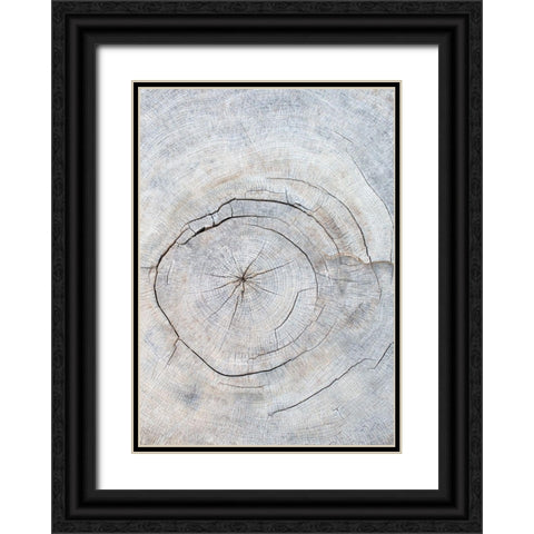Pattern_wood_2 Black Ornate Wood Framed Art Print with Double Matting by 1x Studio III