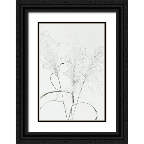 Dried Grass_green Black Ornate Wood Framed Art Print with Double Matting by 1x Studio III