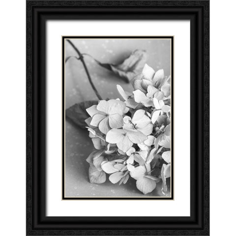 Dried Flowe ron Plate_black a white Black Ornate Wood Framed Art Print with Double Matting by 1x Studio III