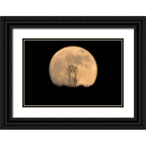 Look at the moon! Black Ornate Wood Framed Art Print with Double Matting by Bar Or, Eyal