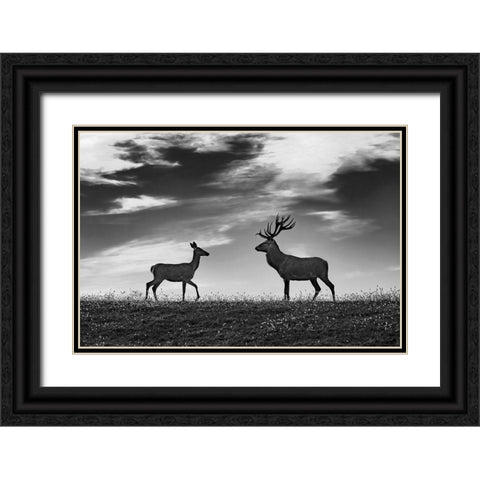 Meeting Black Ornate Wood Framed Art Print with Double Matting by Kravanja, Jure