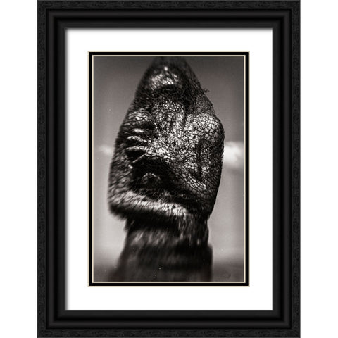 Cocoon Black Ornate Wood Framed Art Print with Double Matting by Bousca, Bogdan