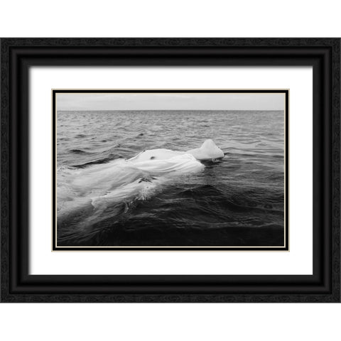 Ebb Tide Black Ornate Wood Framed Art Print with Double Matting by Ishikura, Takaaki