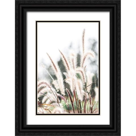 Grass Black Ornate Wood Framed Art Print with Double Matting by 1x Studio III