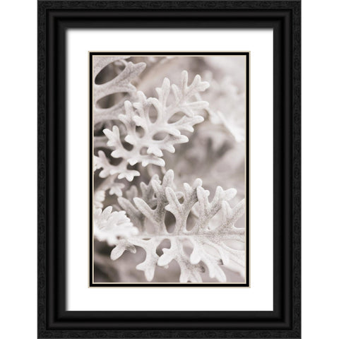 Silver Leaves Black Ornate Wood Framed Art Print with Double Matting by 1x Studio III