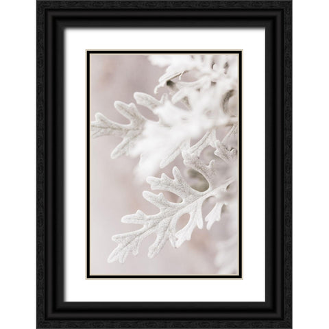 Silver Leaves No 2 Black Ornate Wood Framed Art Print with Double Matting by 1x Studio III