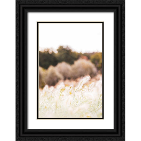 Meadow Black Ornate Wood Framed Art Print with Double Matting by 1x Studio III